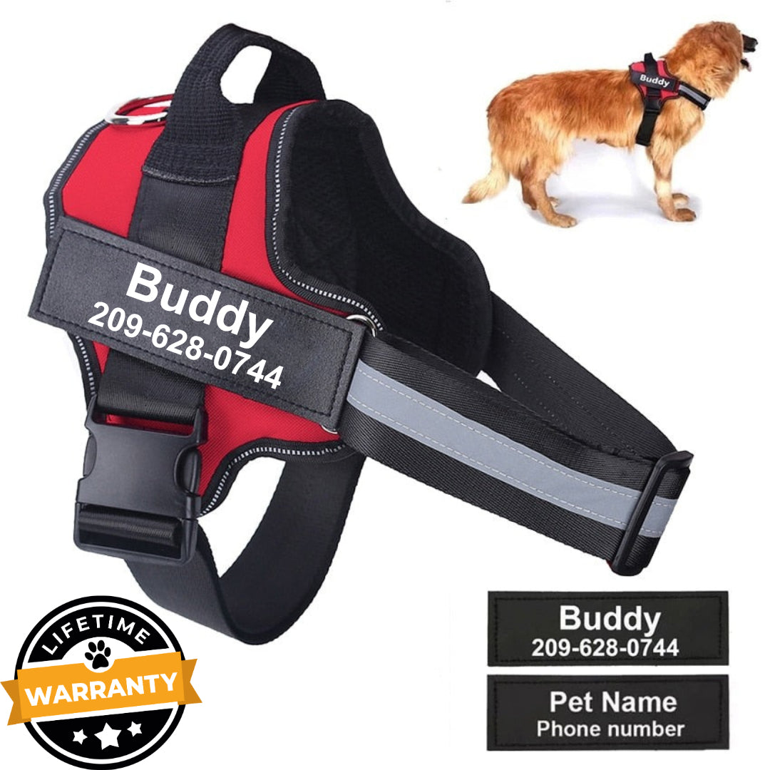 Personalized No Pull Dog Harness