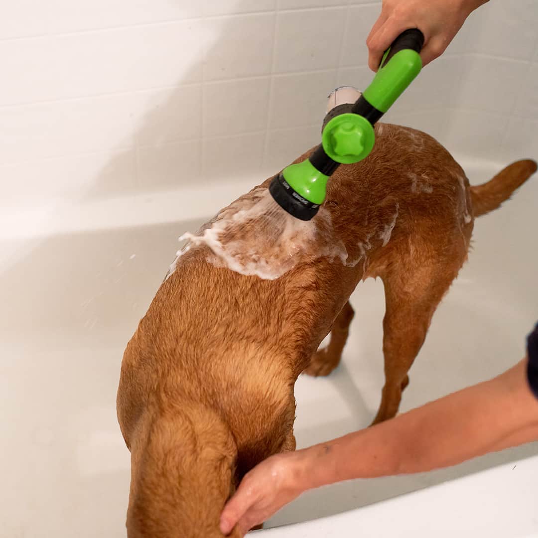 DogWash | Dog Washer Attachment